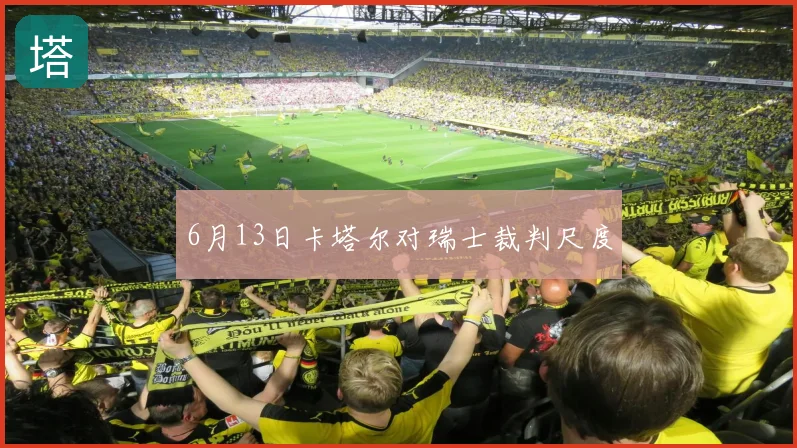 6月13日卡塔尔对瑞士裁判尺度
